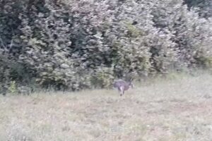 Ggz Rivierduinen Klinisch Herstel Autisme Meander