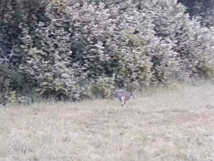 Ggz Rivierduinen Klinisch Herstel Autisme Meander