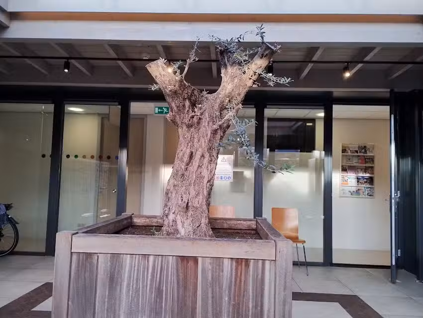 Maatschap Huisartsenpraktijk Derks