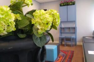 Medisch Centrum Loudon Huisarts Den Haag