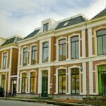 MoleMann Mental Health