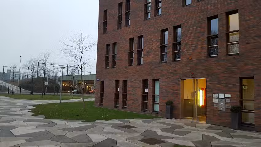 MoleMann Mental Health